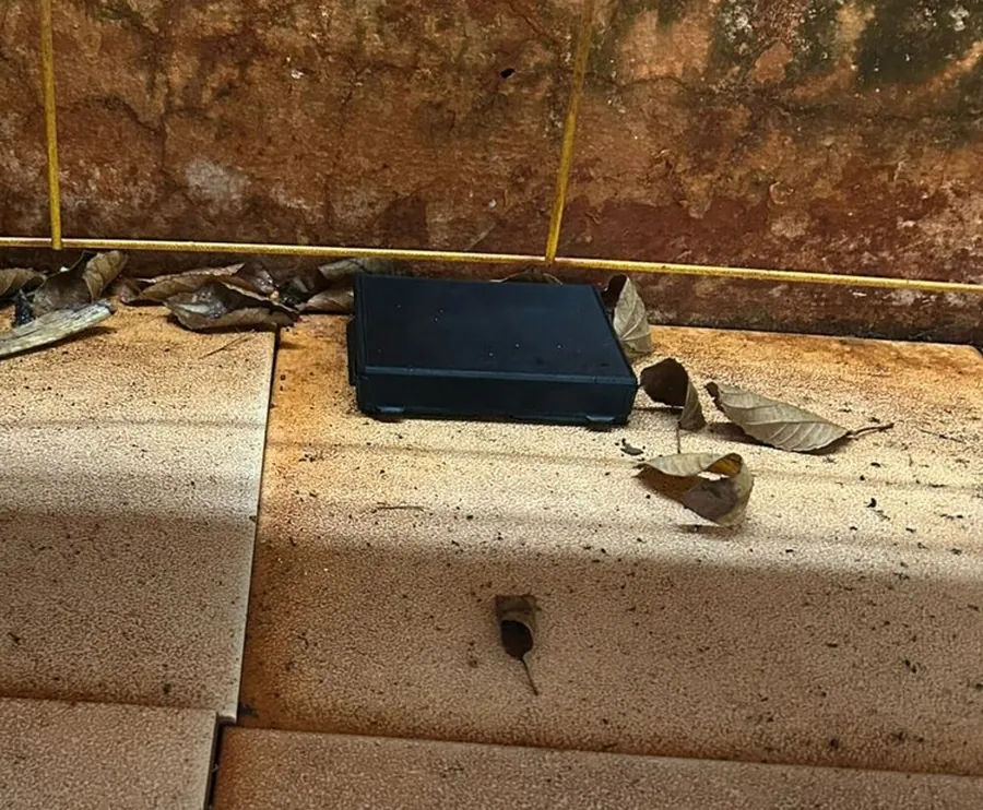 Armadilha para escorpião instalada rente ao muro em área externa com folhas secas