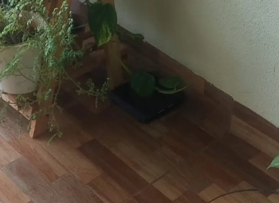 Scorp One instalada próxima à caixa de gordura